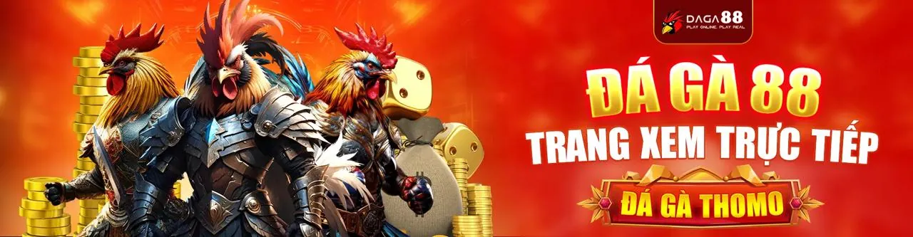 Hướng dẫn cá cược trực tuyến cho người mới tại cado888 nhà cái